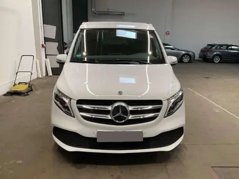 Annonce MERCEDES-BENZ MARCO POLO Diesel 2019 d'occasion 