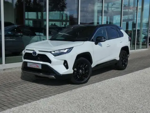 Used TOYOTA RAV4 Hybrid 2022 Ad 