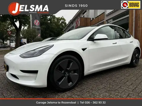 Used TESLA MODEL 3 Electric 2021 Ad 