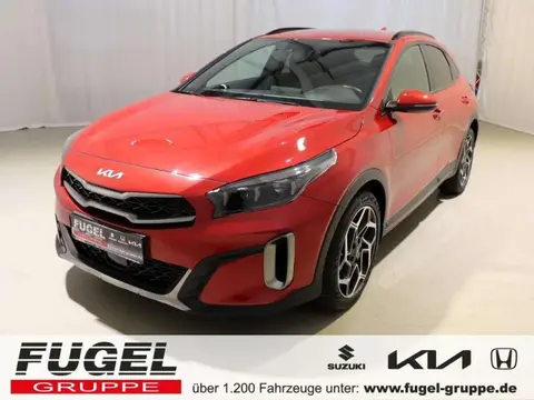 Used KIA XCEED Petrol 2023 Ad 