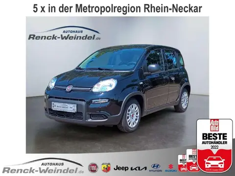 Annonce FIAT PANDA Hybride 2024 d'occasion 