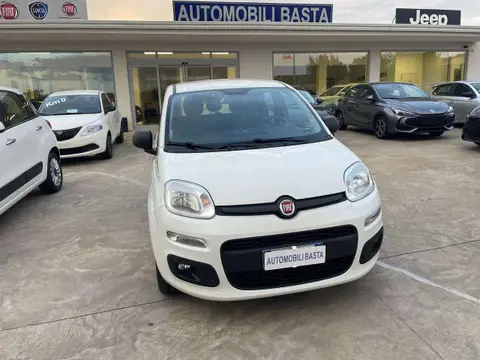 Used FIAT PANDA Petrol 2020 Ad 