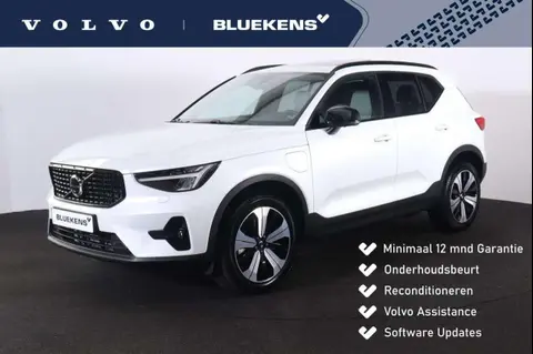 Annonce VOLVO XC40 Hybride 2023 d'occasion 