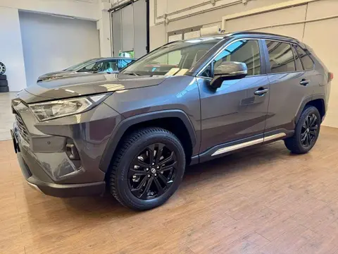 Used TOYOTA RAV4 Hybrid 2023 Ad 