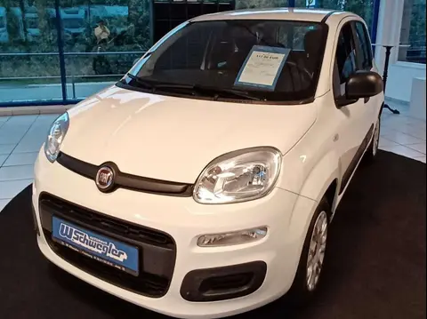 Used FIAT PANDA Petrol 2017 Ad 