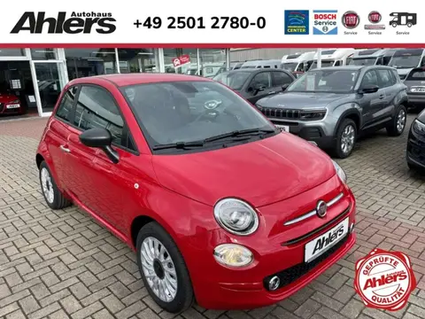 Used FIAT 500 Petrol 2023 Ad 