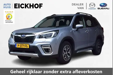 Used SUBARU FORESTER Hybrid 2021 Ad 