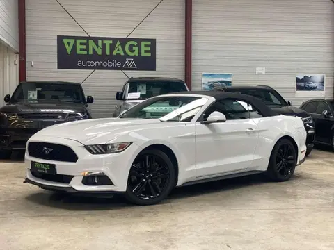 Used FORD MUSTANG Petrol 2016 Ad 