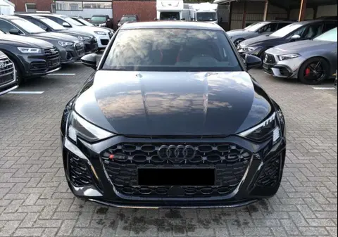 Used AUDI RS3 Petrol 2024 Ad 