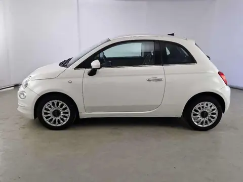 Used FIAT 500 Petrol 2019 Ad 