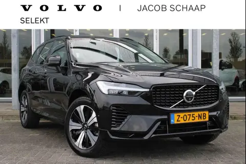 Annonce VOLVO XC60 Hybride 2024 d'occasion 