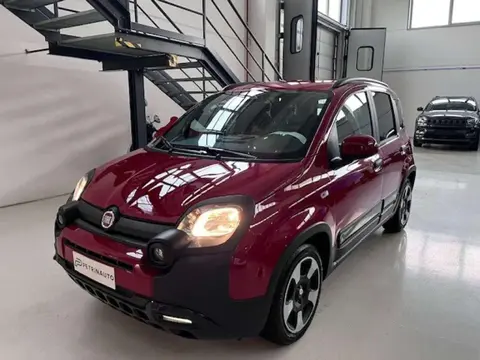 Annonce FIAT PANDA Hybride 2024 d'occasion 