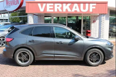 Used FORD KUGA Hybrid 2021 Ad 