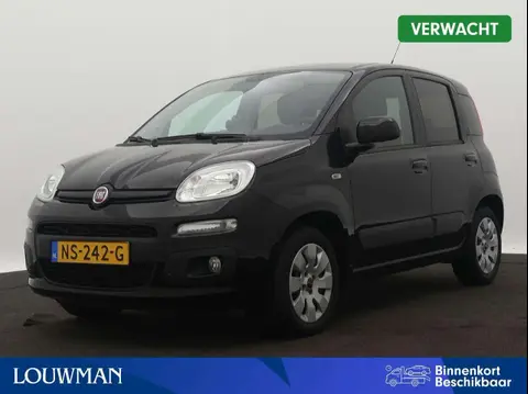 Used FIAT PANDA Petrol 2017 Ad 