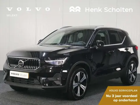 Used VOLVO XC40 Hybrid 2023 Ad 