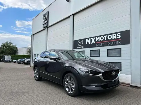 Used MAZDA CX-30 Hybrid 2023 Ad 