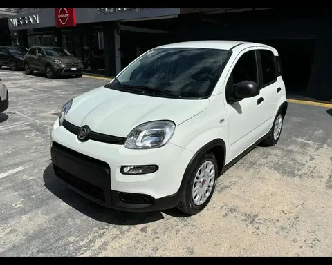 Annonce FIAT PANDA Hybride 2024 d'occasion 