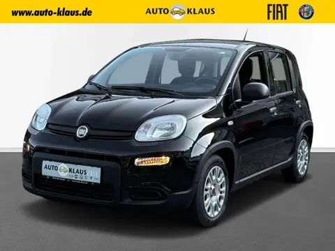 Used FIAT PANDA Hybrid 2024 Ad 