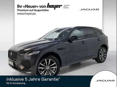 Used JAGUAR F-PACE Diesel 2023 Ad 