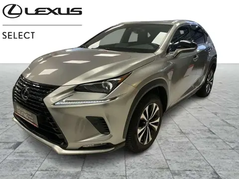 Used LEXUS NX Hybrid 2022 Ad 