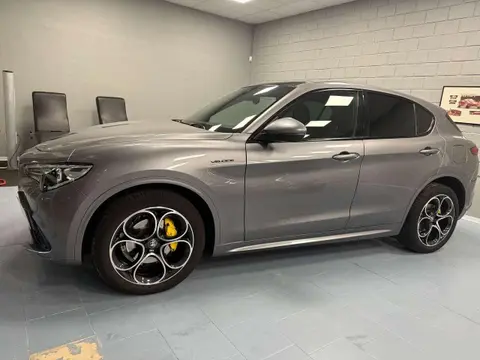 Annonce ALFA ROMEO STELVIO Diesel 2021 d'occasion 