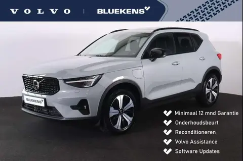 Annonce VOLVO XC40 Hybride 2023 d'occasion 