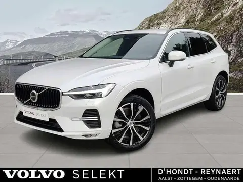 Annonce VOLVO XC60 Essence 2023 d'occasion 