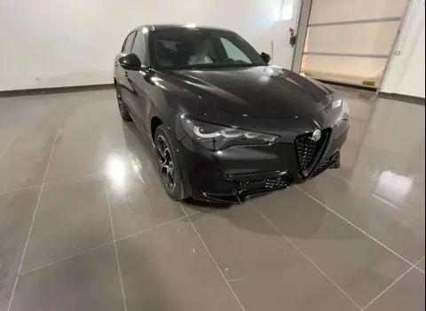 Annonce ALFA ROMEO STELVIO Diesel 2024 d'occasion 