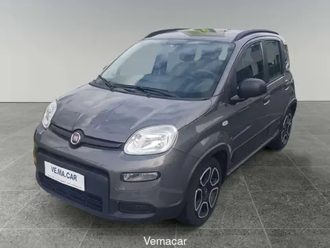 Used FIAT PANDA Hybrid 2021 Ad 