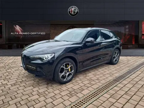 Used ALFA ROMEO STELVIO Petrol 2021 Ad 