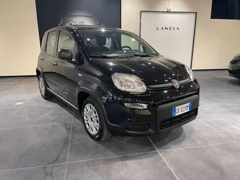 Used FIAT PANDA Hybrid 2023 Ad 