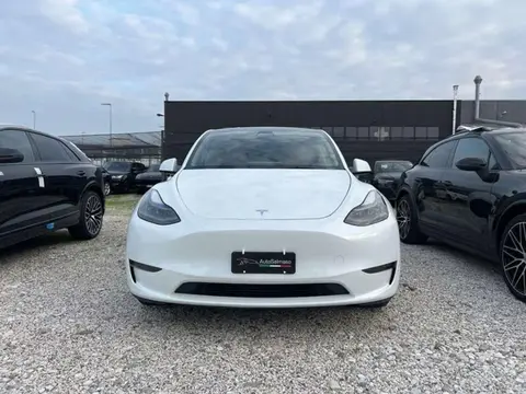 Annonce TESLA MODEL Y Électrique 2021 d'occasion 