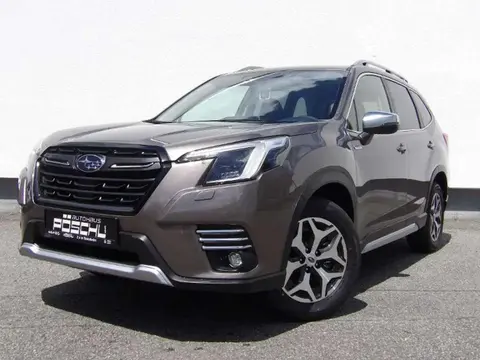 Used SUBARU FORESTER Petrol 2024 Ad 