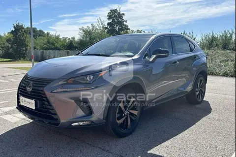 Used LEXUS NX Hybrid 2019 Ad 