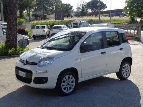 Annonce FIAT PANDA  2019 d'occasion 