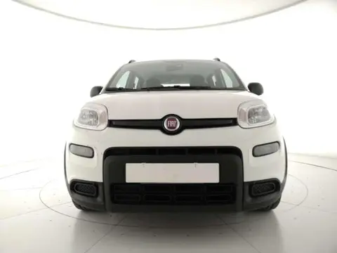 Annonce FIAT PANDA Hybride 2022 d'occasion 