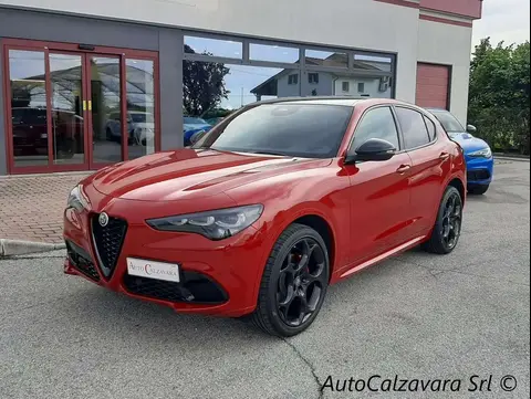 Annonce ALFA ROMEO STELVIO Diesel 2024 d'occasion 