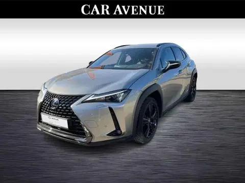 Used LEXUS UX Hybrid 2021 Ad 