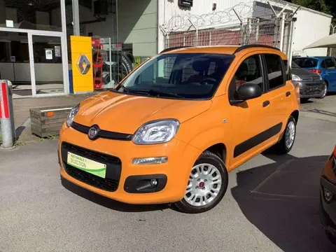 Used FIAT PANDA Petrol 2020 Ad 