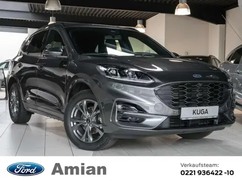 Annonce FORD KUGA Hybride 2022 d'occasion 