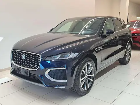 Used JAGUAR F-PACE Hybrid 2024 Ad 