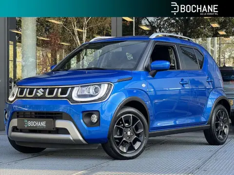 Annonce SUZUKI IGNIS Hybride 2021 d'occasion 