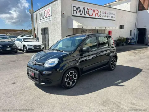 Used FIAT PANDA Hybrid 2021 Ad 