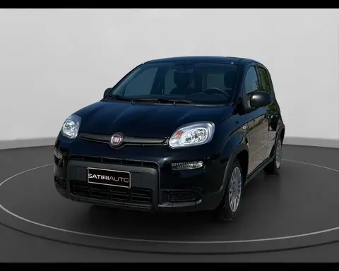 Annonce FIAT PANDA Hybride 2024 d'occasion 