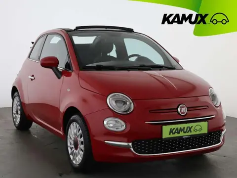 Used FIAT 500 Petrol 2023 Ad 