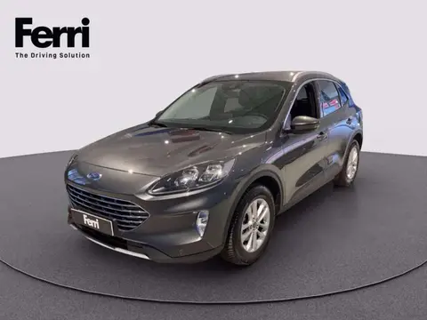 Used FORD KUGA Diesel 2023 Ad 