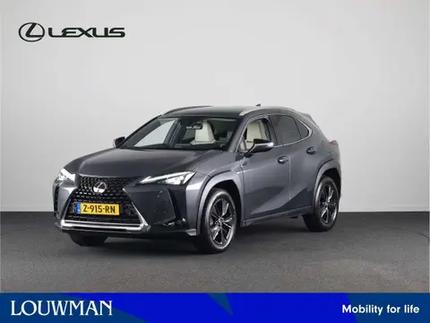 Annonce LEXUS UX Hybride 2024 d'occasion 