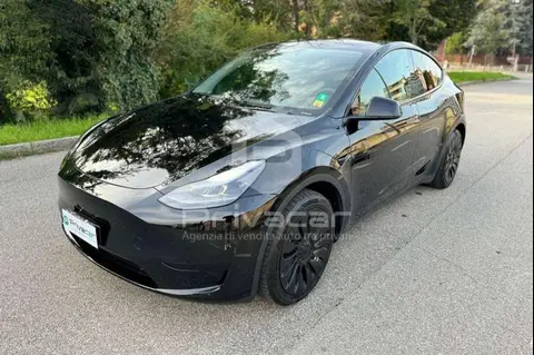 Used TESLA MODEL Y Electric 2023 Ad 