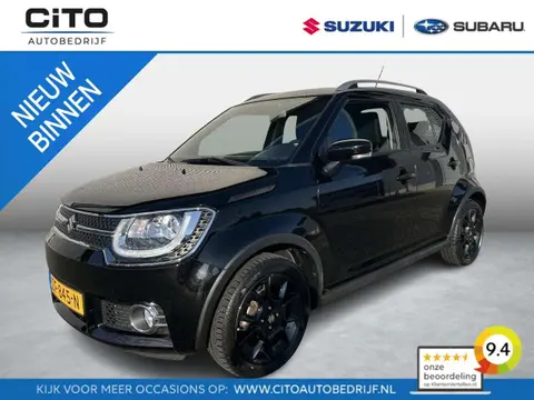 Used SUZUKI IGNIS Petrol 2019 Ad 