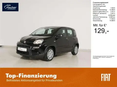 Used FIAT PANDA Petrol 2024 Ad 